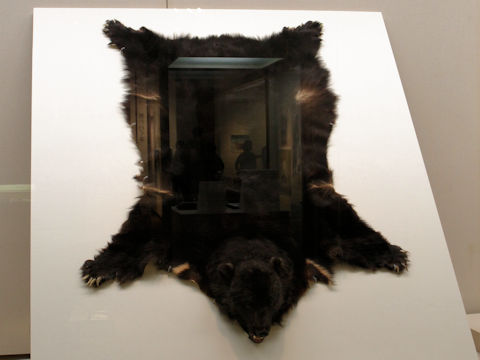 Ursus thibetanus japonicus