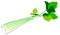 Celery