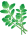 Watercress