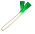 Welsh onion