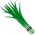 Leek