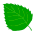 Shiso